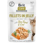 Brit Care Cat Fillets in Jelly Fine Trout & Cod 85 g – Sleviste.cz