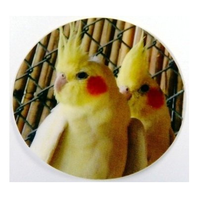 VIZINGR Korely MAXI logo – Hledejceny.cz