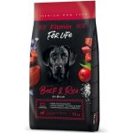 Fitmin Dog For Life Beef & Rice 12 kg – Hledejceny.cz