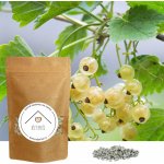 Od Janky Vonné kamínky Bílý rybíz 60 g – Zboží Dáma