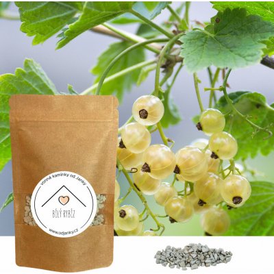 Od Janky Vonné kamínky Bílý rybíz 60 g – Zboží Dáma