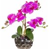 Květina Gasper Orchidej x3, cca 30cm fialová, v oválné váze