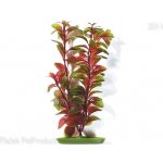 Hagen rostlina Red Ludwigia 20 cm – Hledejceny.cz