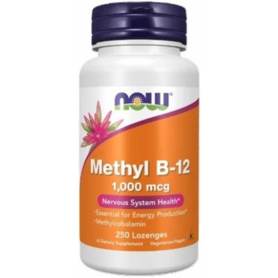 Now Foods Methyl B-12 1000 mcg 250 tablety – Hledejceny.cz