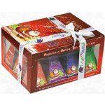 English Tea Shop Dárková krabička čajů Santa Claus s 12 pyramidkami – Zboží Dáma