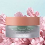 Haruharu Wonder Centella Phyto 5 Peptide Concentrate Cream 30 ml – Hledejceny.cz