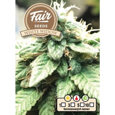 Fair Seeds White Widow semena neobsahují THC 10 ks – Zboží Dáma