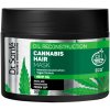 Vlasová regenerace Maska pro slabé a poškozené vlasy Dr. Santé Cannabis Hair - 300 ml