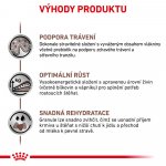 Royal Canin Veterinary Diet Dog Gastrointestinal Junior 10 kg – Zboží Mobilmania