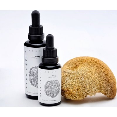 KÄÄPÄ Mushrooms Lion's Mane BIO tinktura 30 ml – Hledejceny.cz