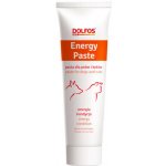 DOLFOS Energy Paste 100 g energie a kondice pasta pro psy a kočky v období rekonvalescence – Hledejceny.cz