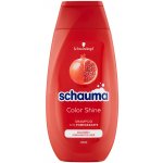 Schauma Color šampon pro lesk barvy 250 ml – Zboží Mobilmania