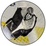 VIZINGR Lední hokej MINI logo L1č.178 – Hledejceny.cz