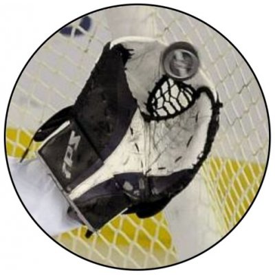 VIZINGR Lední hokej MINI logo L1č.178 – Hledejceny.cz