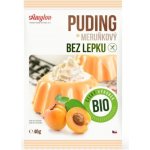 Amylon Meruňkový pudink bezlepkový Bio 40 g – Zboží Dáma