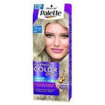Pallete Intensive Color Creme C10 Ledový stříbřitě plavý barva na vlasy – Sleviste.cz