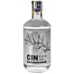 Rammstein GIN 40% 0,7 l (holá láhev) – Sleviste.cz