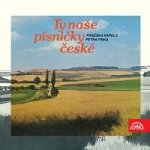 Pražská kapela Petra Finka – Ty naše písničky české MP3 – Hledejceny.cz