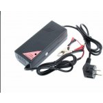 AVACOM WILSTAR 12V/10A – Zboží Mobilmania