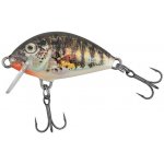 Salmo Tiny Sinking Holo Stickleback 3 cm – Hledejceny.cz