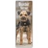 Kalendář Border Terrier 2024