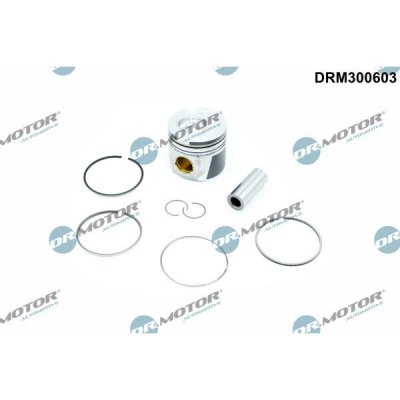 Dr.Motor Automotive DRM300603 – Hledejceny.cz