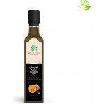 Green idea Dýňový olej 250 ml – Hledejceny.cz