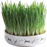 Trixie keramická miska na trávu pro kočky 15 x 4 cm – Sleviste.cz