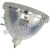 Lampa pro projektor Lampa pro projektor BenQ 5J.J8W05.001, kompatibilní lampa bez modulu