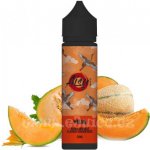 ZAP! Juice Shake & Vape AISU Melon 20 ml – Zboží Dáma