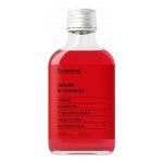 Sirupárna Domácí Jahoda & Rozmarýn Sirup 100 ml – Zbozi.Blesk.cz