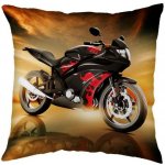 Jerry Fabrics Polštář Motorka Red 40x40 – Hledejceny.cz