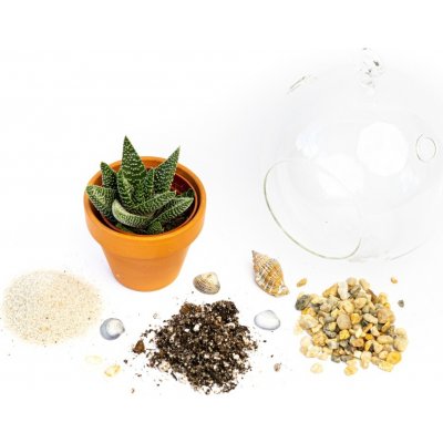 Gardners Aerárium koule 10 cm Osázej si sám – Hledejceny.cz