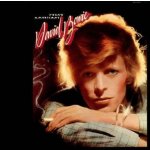 David Bowie - Young Americans LP – Hledejceny.cz