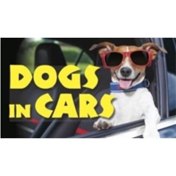 Dogs in Cars