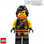 LEGO® 30675 Figurky Cole / Dragons Rising – Sleviste.cz