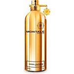 Montale Aoud Leather parfémovaná voda unisex 100 ml – Hledejceny.cz