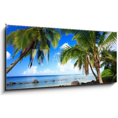 Skleněný obraz 1D panorama - 120 x 50 cm - Palm trees in Kauai Hawaii in the morning Palmy na Kauai na Havaji ráno – Hledejceny.cz