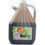 Gelapony Fast Biosol 3 l – Zboží Mobilmania