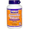 Doplněk stravy na imunitu Now Foods Boswellia Extrakt 500 mg 90 softgelových kapslí