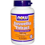 Now Foods Boswellia Extrakt 500 mg 90 softgelových kapslí – Hledejceny.cz