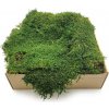 Květina mech-mech.cz Plochy mech - flat moss - tmavězelený natural- 200g - SWE