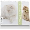 Kalendář Kočky a koťata stolní 2024