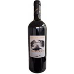MANDYRION Primitivo Di Manduria DOC 2020 17% 0,75 l (holá láhev) – Hledejceny.cz