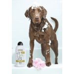 Wahl Oatmeal 750 ml – HobbyKompas.cz