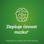 GINGIO POR 120MG TBL FLM 60 – Zboží Mobilmania