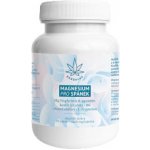 Herbalus Magnesium Pro Spánek 90 tablet – Hledejceny.cz