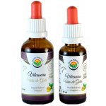 Salvia Paradise Vilcacora Uňa de Gato tinktura 30 ml – Hledejceny.cz