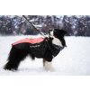 Vsepropejska Mansi zimní bunda pro psa s postrojem