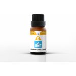BEWIT Merry Christmas Esenciální olej 5 ml – Hledejceny.cz